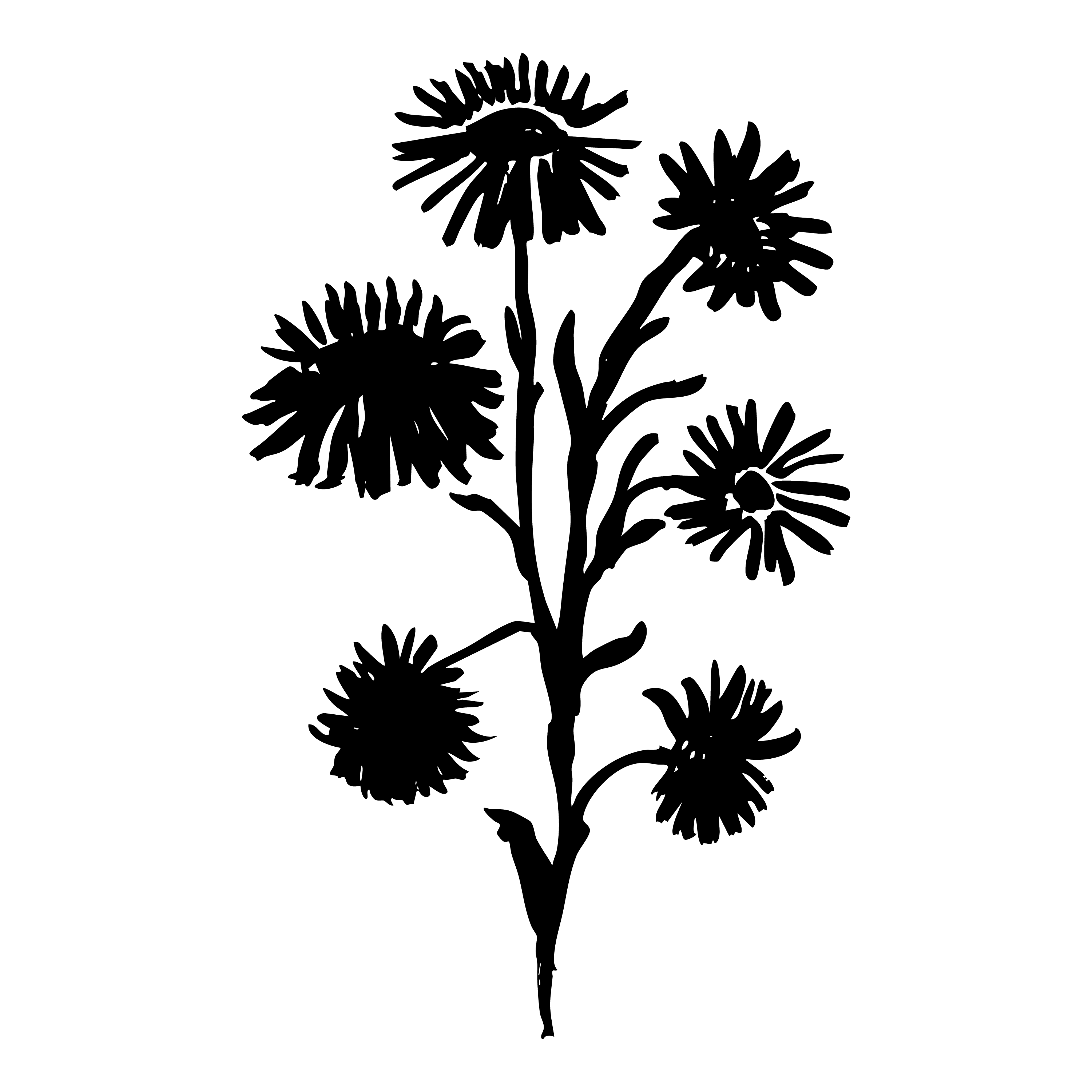 Black silhouette of a floral branch on a white background