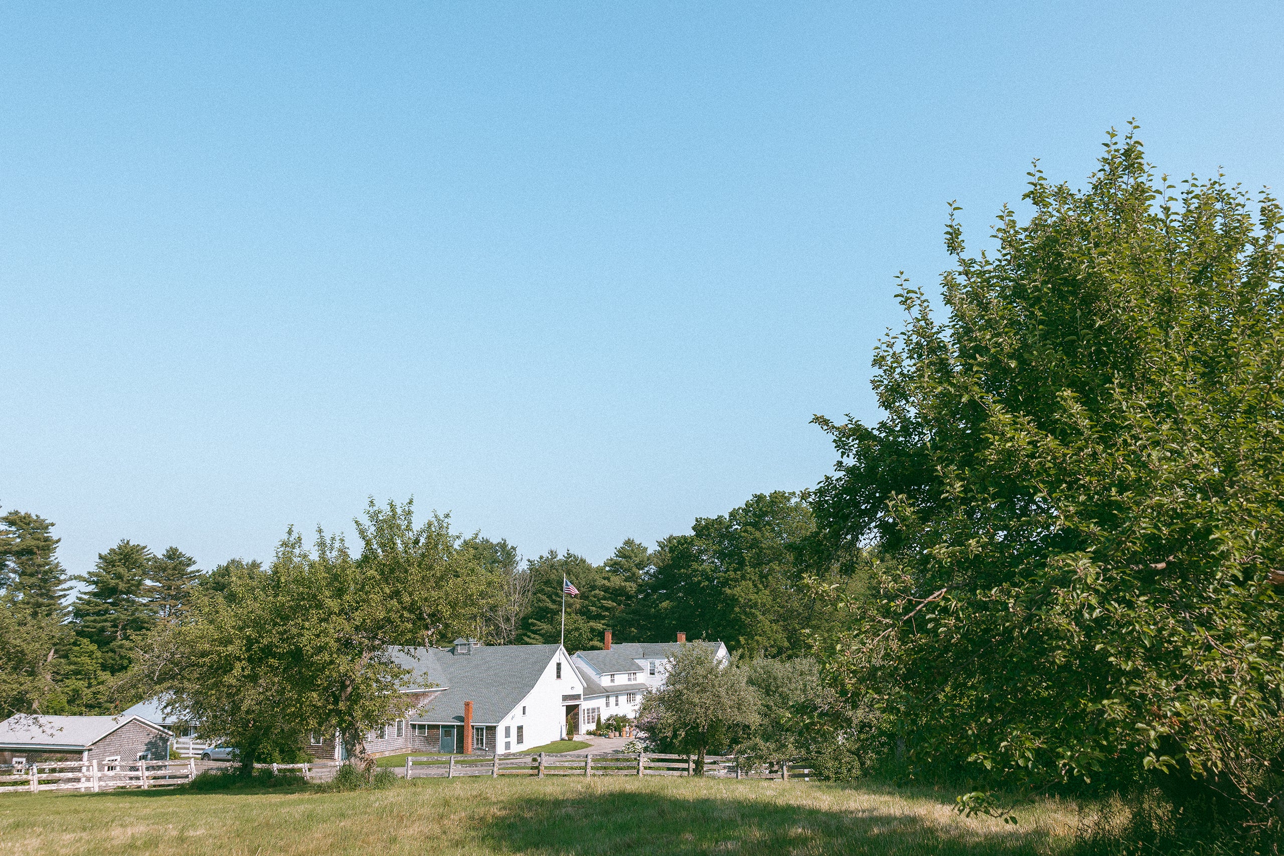 White farm house with gray roof at The Yellow Field surrounded by trees and clear blue sky