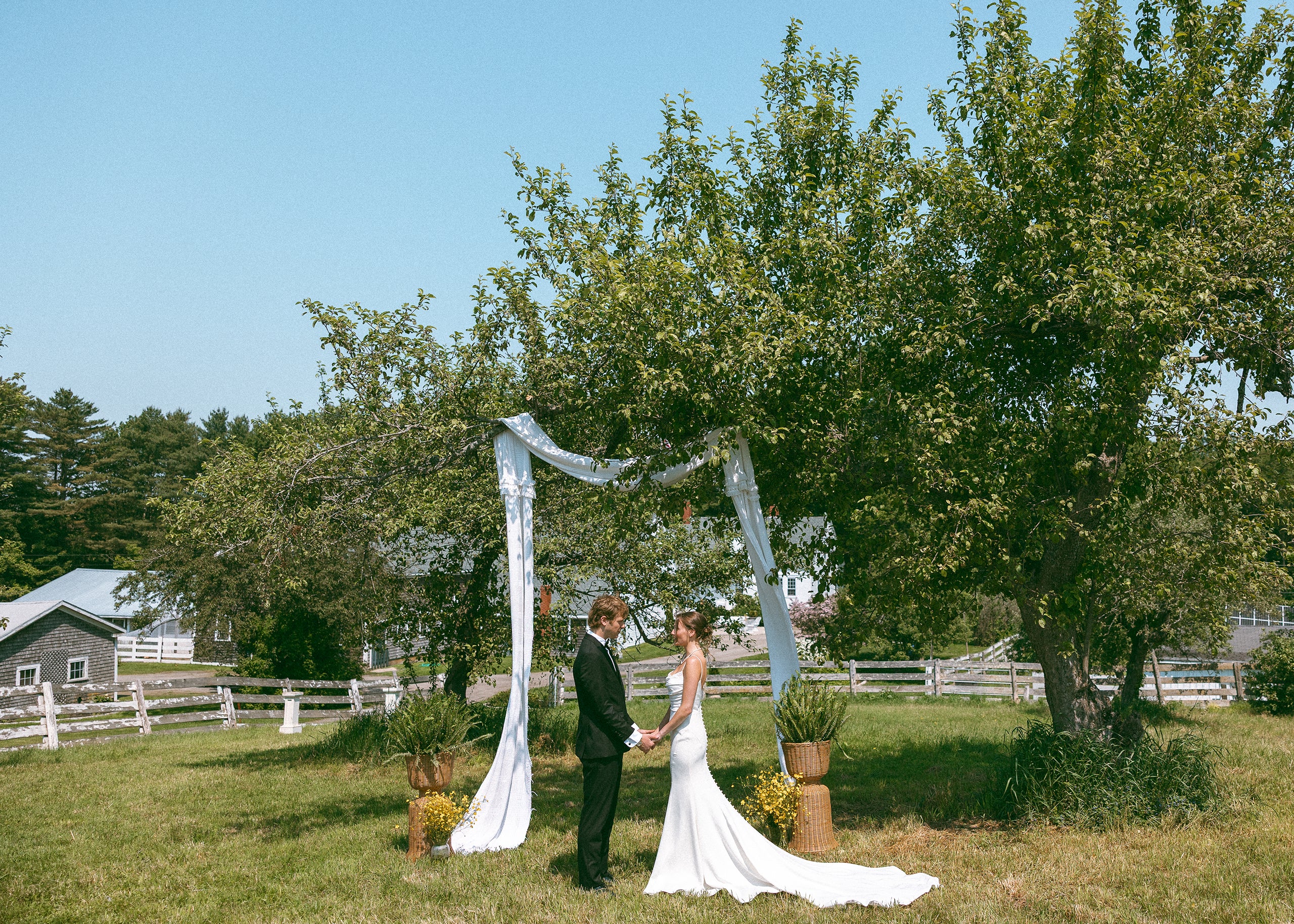 Wedding couple standing under a decorated archway in a park-like setting with trees and a clear sky.